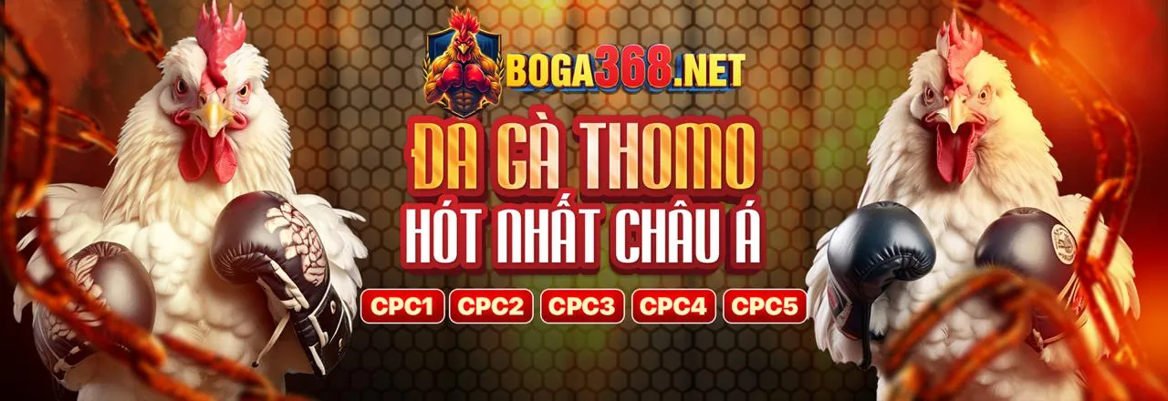 Đỉnh Cao Đá Gà Trực Tuyến tại 188bey chính thức